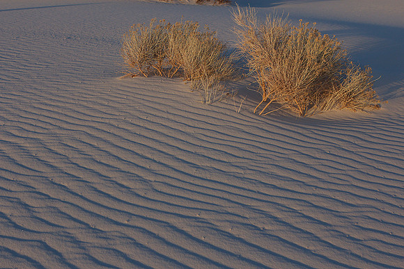 White Sands National Monument