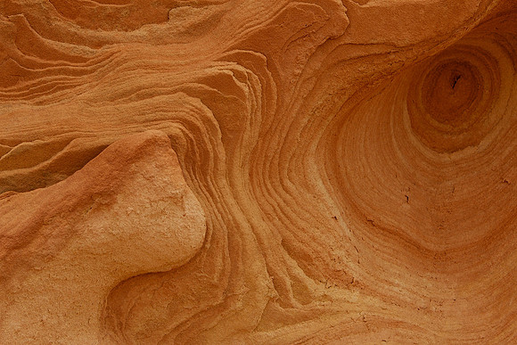 sandstone color, Zion National Park