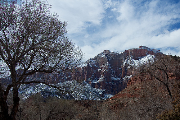 spring snow, Zion National Park
