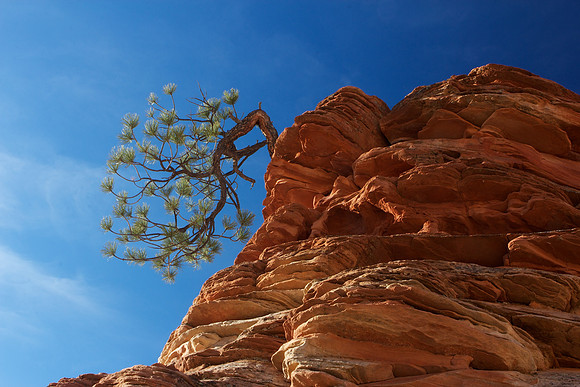 Zion National Park