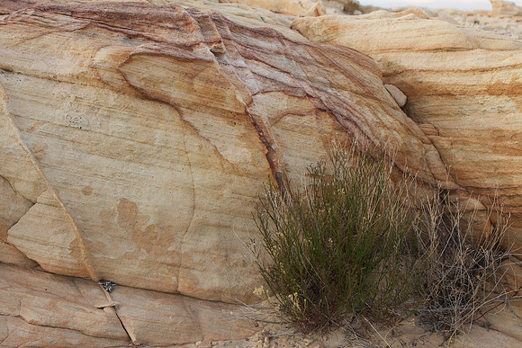 Valley of Fire State Park, NV
