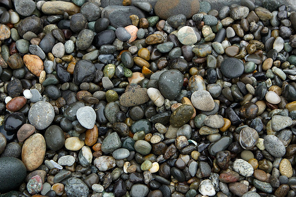 beach pebbles, Olympic National Park