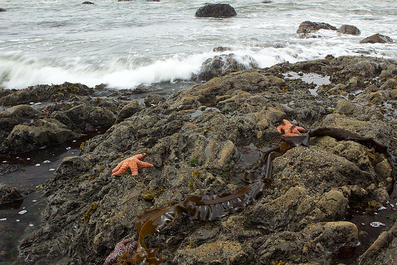 Olympic National Park