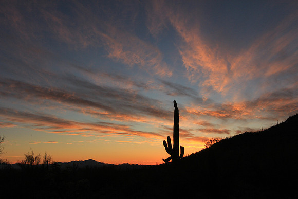 sunset from Brown Mountain, Saguaro National Park