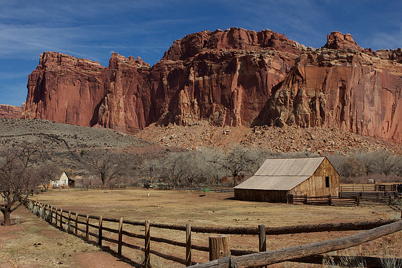 Fruita orchard, Capitol Reef National Park
