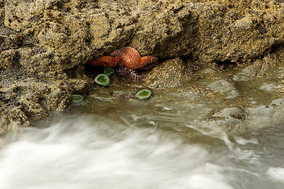 Olympic National Park
