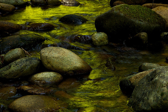 mountain stream, Jedediah Smith State Park