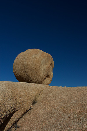Joshua Tree National Park