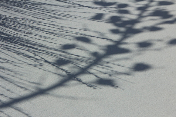 White Sands National Monument