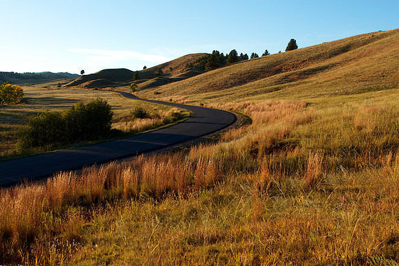 afternoon sun on hills of Custer State Park