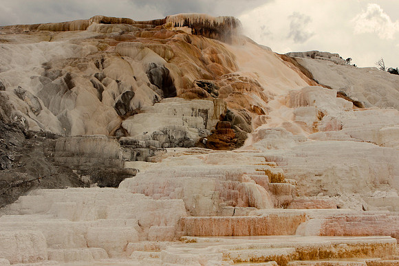 Mammoth Hot Spring, Yellowstone NP