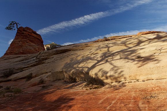 Zion National Park